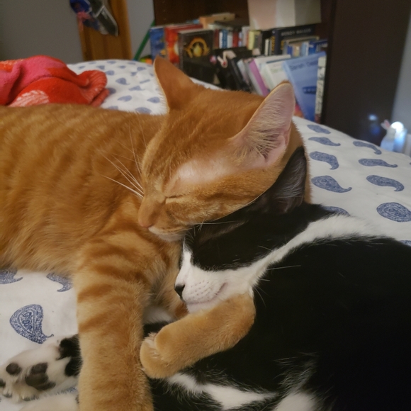 Meet your Posher, Emma - Picture 3 of 8